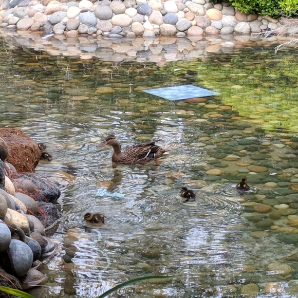 Meet your Posher, Kim - Picture 1 of 1